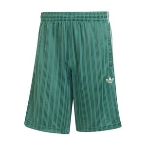 Adidas Men's Teal Striped Athletic Shorts